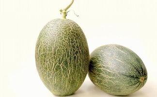 乐东哈密瓜今日市场价格,新鲜美味，价格走俏