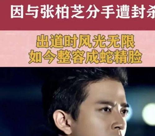 谢霆锋吃瓜爆料视频播放,揭秘娱乐圈幕后真相
