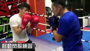 拳击教学视频,掌握实战技巧与策略