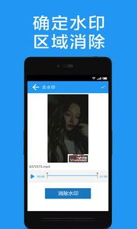 水印视频,技术解析与创意应用