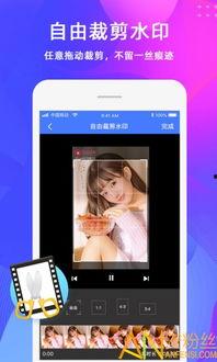 水印视频,技术解析与创意应用
