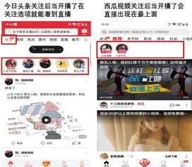 瓜地新闻今日头条,揭秘瓜地产业新动态，助力乡村振兴战略