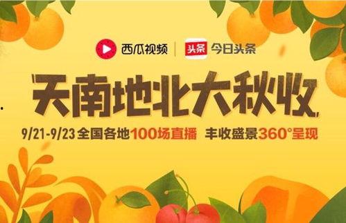 瓜地新闻今日头条,揭秘瓜地产业新动态，助力乡村振兴战略