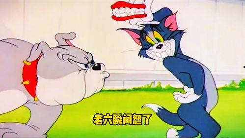 猫和老鼠搞笑视频,搞笑视频里的经典瞬间
