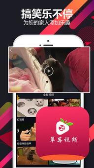 草莓小视频,甜蜜瞬间，尽享美味时光