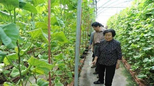 燕郊吃瓜最新事件爆料是真的吗,最新爆料真相揭秘