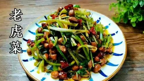 今日吃瓜155老虎菜,揭秘“吃瓜155老虎菜”背后的故事