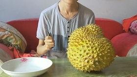 开榴莲视频,香气四溢，揭秘开榴莲全过程