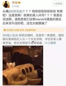 爆料网红吃瓜群,幕后故事与八卦风云