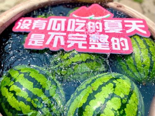 今日天吃最大的瓜,揭秘惊天大瓜，谁是幕后黑手？