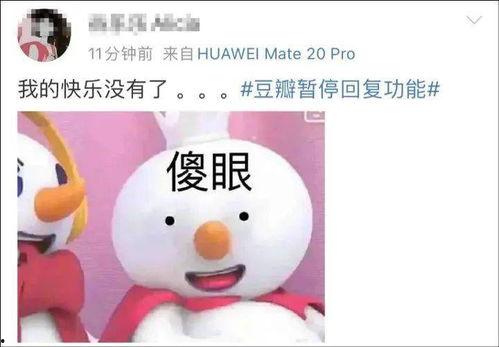 吃瓜鹅爆料小组,揭秘娱乐圈幕后真相