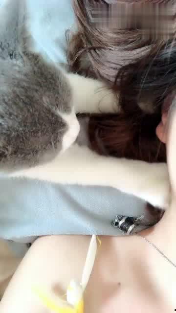 按摩在线视频,在线视频教程全解析