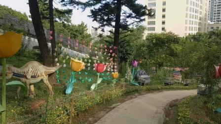 公园视频,视频带你领略自然魅力