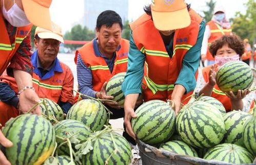 郯城吃瓜最新事件爆料新闻,最新爆料揭示惊人真相