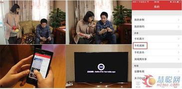 变态视频app,暗流涌动的网络世界