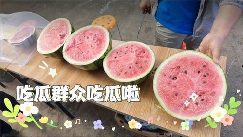 今日吃瓜现状如何,揭秘今日网络热点背后的真相与笑料