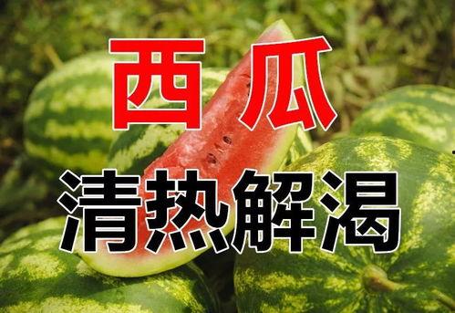 今日吃瓜大瓜不打烊,揭秘娱乐圈幕后风云