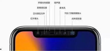 苹果袋怎么套视频教程,轻松掌握果实保护技巧