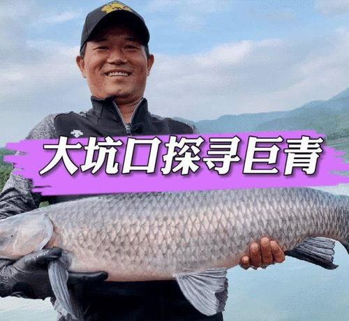 邓刚钓鱼视频,视频中的渔猎智慧
