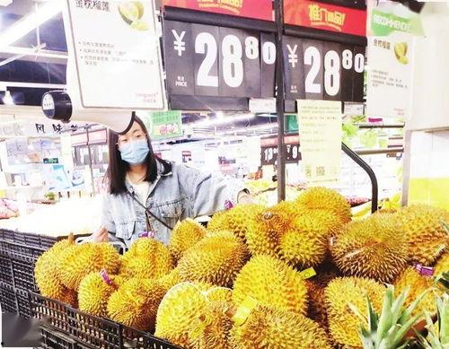 惠州今日鲜瓜价格行情,实惠与品质并存