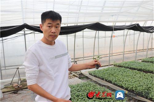 今日李新庄瓜价