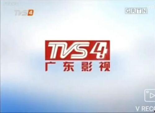 广东影视频道直播,精彩瞬间尽收眼底