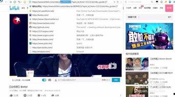 怎么下载b站视频,B站视频下载全攻略