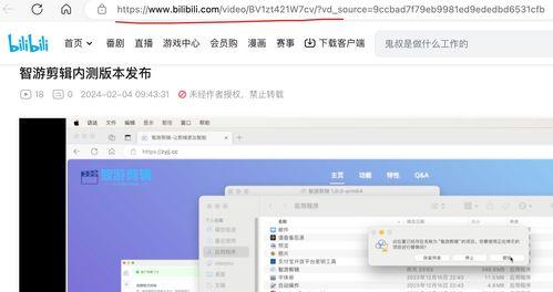 怎么下载b站视频,B站视频下载全攻略