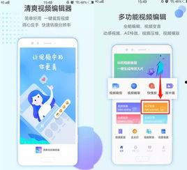 九一视频网站,揭秘网络视听新纪元