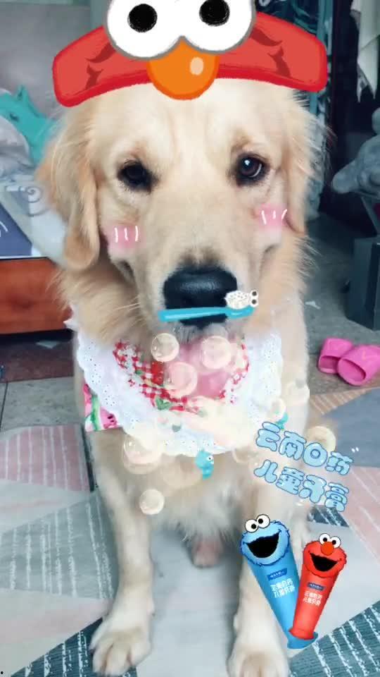 小朋友刷牙视频,趣味视频教你正确刷牙方法