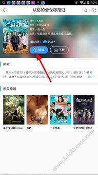 查看更多视频,视频内容深度解析