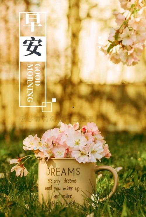 早安视频图片加音乐,音乐唤醒美好一天