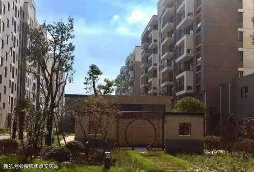 云南小瓜最新今日行情消息,今日价格波动及市场动态一览
