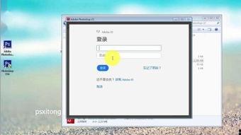 242cc在线视频,热门内容背后的故事与影响