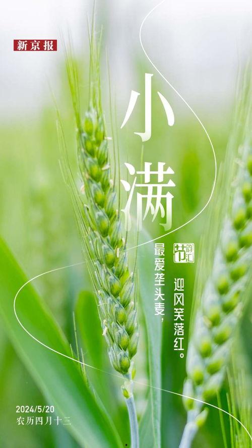 小满视频,春意盎然，收获在望的农耕时光