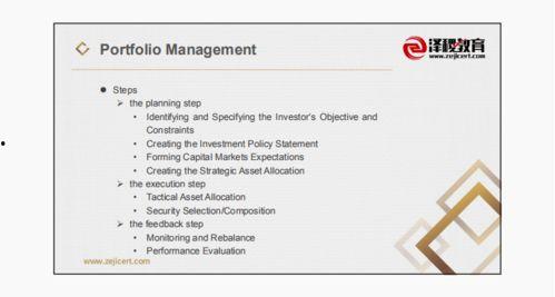 cfa二级视频,深入解析金融市场与投资组合管理