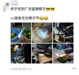 高校爆料吃瓜视频,吃瓜视频揭露校园风云录
