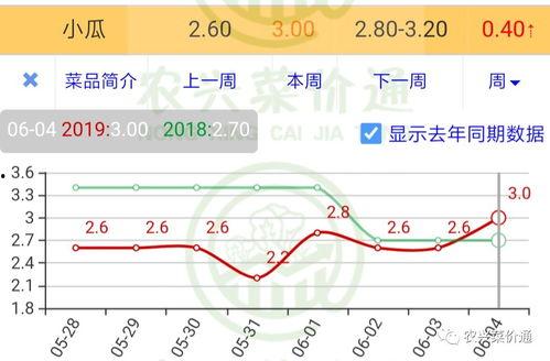 小瓜今日行情走势图最新,今日走势解析，涨跌背后的市场动向