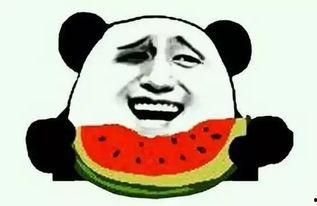 黑帽门吃瓜在线,揭秘网络黑客的暗黑世界