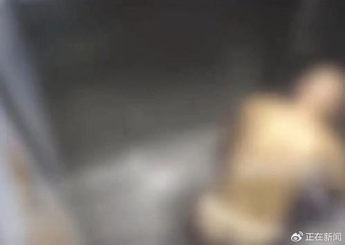 拉屎视频,一场关于人体排泄的奇妙之旅