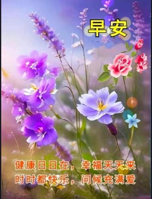 每天早上问候视频,温暖心灵的第一缕阳光