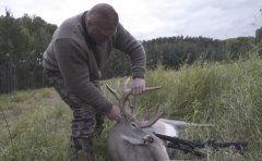 打猎视频,揭秘狩猎场上的惊心动魄瞬间