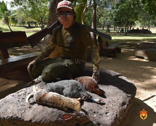 打猎视频,揭秘狩猎场上的惊心动魄瞬间