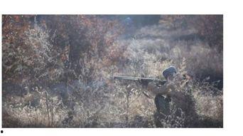 打猎视频,揭秘狩猎场上的惊心动魄瞬间