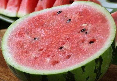 石家庄麒麟瓜今日价格,价格行情一览”