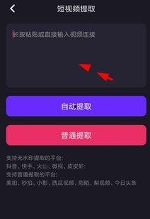 视频水印怎么去,轻松打造个性化视频内容