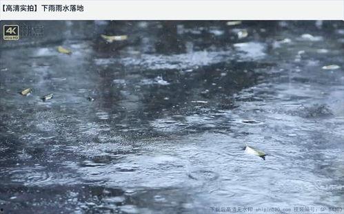下雨视频大全,捕捉自然旋律的瞬间