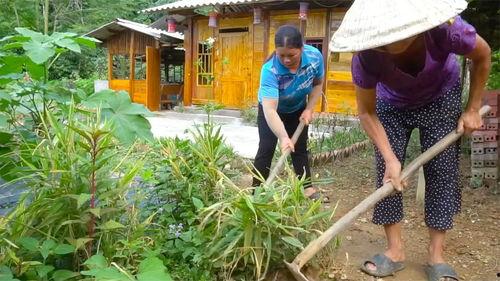 盖伊和瓜妹的今日头条,揭秘热门话题背后的故事