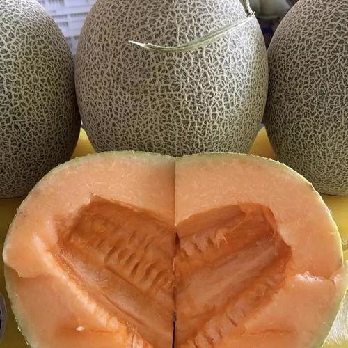 牛三哈密瓜今日价格行情,价格波动解析