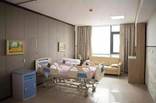 产科病房视频,温馨守护，见证生命奇迹